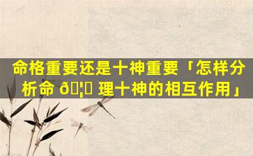 命格重要还是十神重要「怎样分析命 🦆 理十神的相互作用」